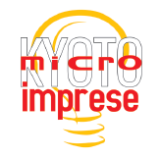 Microkyoto Imprese: risultati raggiunti e prospettive