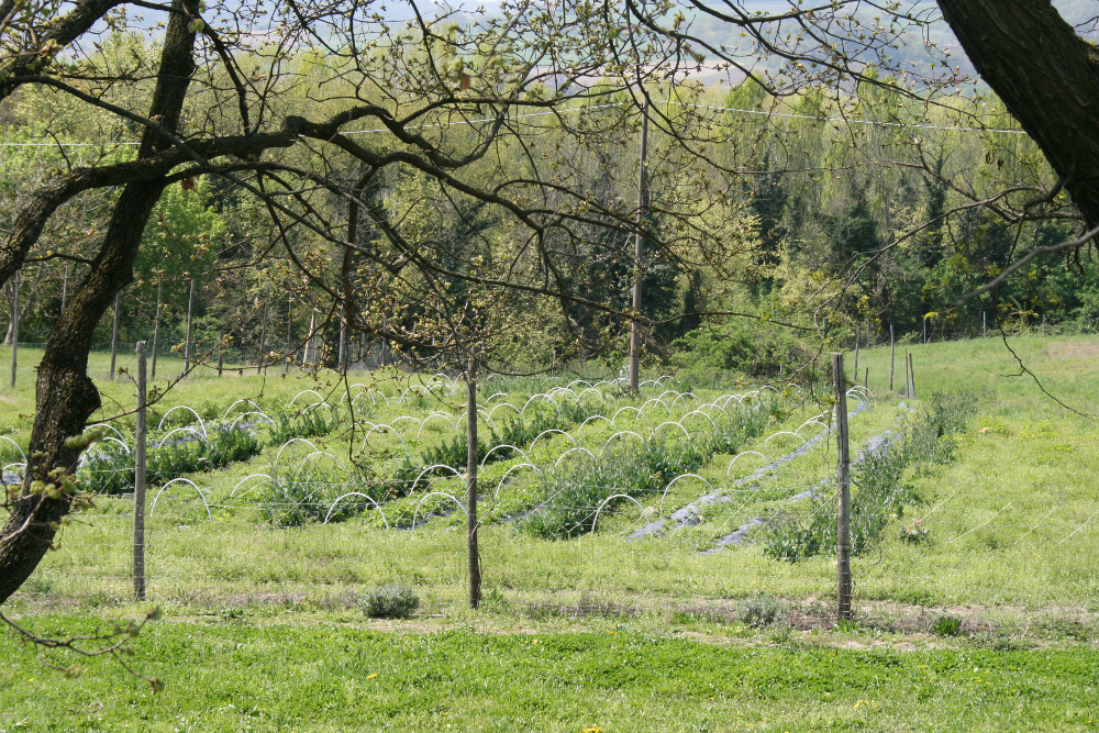 L’impegno della Regione Emilia-Romagna per la difesa dell’ambiente in agricoltura