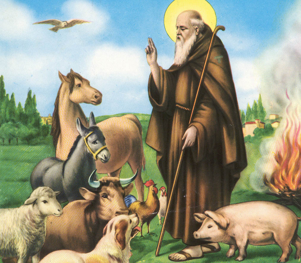 Sant'Antonio Abate - Il 17 gennaio benedizione degli animali