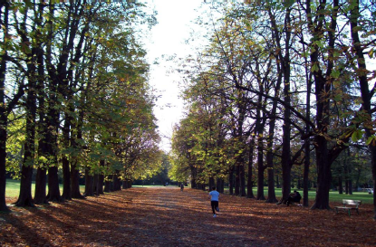 Il Parco in autunno: eventi di ottobre
